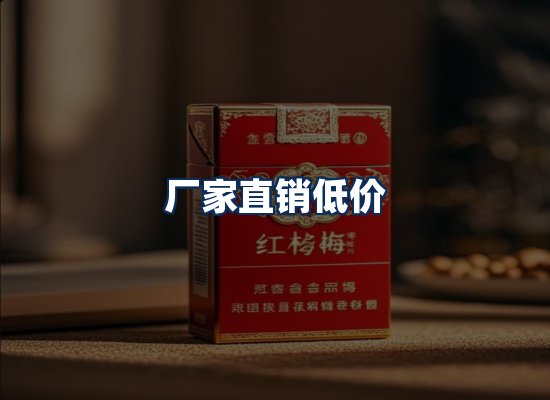 专业团队办公环境